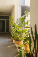 Parduodamas butas Santariškių g., Santariškės, Vilniaus m., Vilniaus m. sav., 43.96 m² ploto 2 kambariai 22