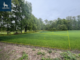 Parduodamas  sklypas Ažulaukės g., Balsiai, Vilniaus m., Vilniaus m. sav., 6.34 a ploto 5