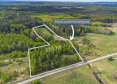 Parduodamas  sklypas Vilkiškių k., Vilniaus r. sav., 309 a ploto