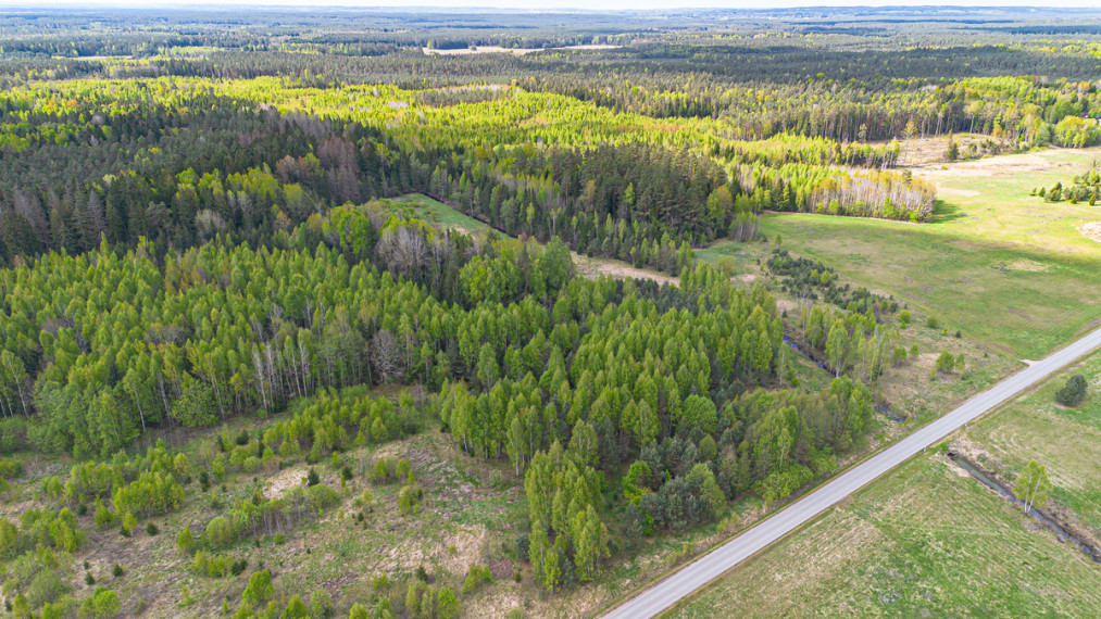 Parduodamas sklypas Vilkiškių k., Vilniaus r. sav., 309 a ploto 4