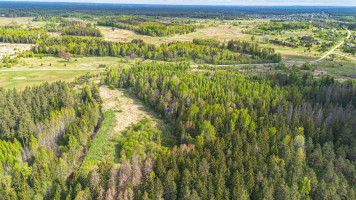 Parduodamas  sklypas Vilkiškių k., Vilniaus r. sav., 309 a ploto 11