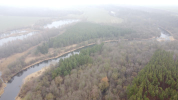Parduodamas namas Pušyno g., Šventybrasčio k., Kėdainių r. sav., 115.00 m² ploto 4 kambariai 15
