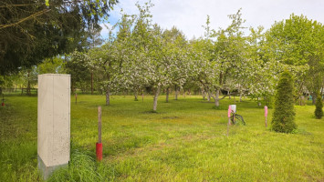 Parduodamas kitos paskirties sklypas Žemdirbių g., Paliūniškio k., Panevėžio r. sav., 18.42 a ploto 4
