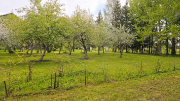 Parduodamas kitos paskirties sklypas Žemdirbių g., Paliūniškio k., Panevėžio r. sav., 18.42 a ploto 9