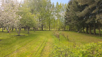 Parduodamas kitos paskirties sklypas Žemdirbių g., Paliūniškio k., Panevėžio r. sav., 18.42 a ploto 10