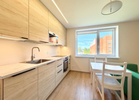 Nuomojamas butas Rygos g., Justiniškės, Vilniaus m., Vilniaus m. sav., 40 m2 ploto, 2 kambariai