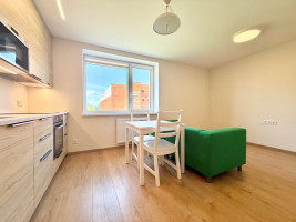 Nuomojamas butas Rygos g., Justiniškės, Vilniaus m., Vilniaus m. sav., 40 m2 ploto, 2 kambariai 2