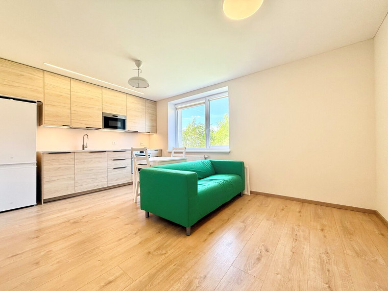 Nuomojamas butas Rygos g., Justiniškės, Vilniaus m., Vilniaus m. sav., 40 m2 ploto, 2 kambariai 3