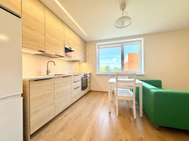 Nuomojamas butas Rygos g., Justiniškės, Vilniaus m., Vilniaus m. sav., 40 m2 ploto, 2 kambariai 14