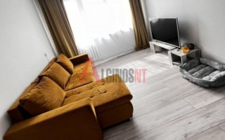 Parduodamas butas Žardininkų g., Žardininkai, Klaipėdos m., Klaipėdos m. sav., 33 m² ploto 1 kambarys 10