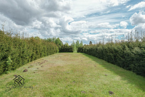 PARDUODAMAS 12.3 ARŲ SODO SKLYPAS TRAKSĖDŽIŲ K., PAMARIO 13-ASIS TAK. 13 2