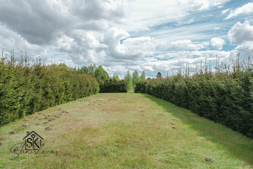 PARDUODAMAS 12.3 ARŲ SODO SKLYPAS TRAKSĖDŽIŲ K., PAMARIO 13-ASIS TAK. 13 3