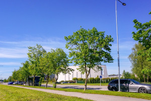 Parduodamas butas Gegužių g., Dainiai, Šiaulių m., Šiaulių m. sav., 87.61 m2 ploto, 4 kambariai 22