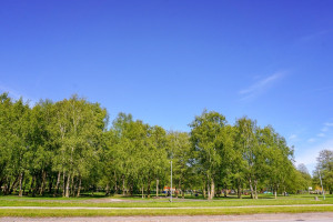 Parduodamas butas Gegužių g., Dainiai, Šiaulių m., Šiaulių m. sav., 87.61 m2 ploto, 4 kambariai 29