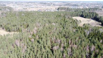 Parduodamas sklypas Česlovo Milošo g., Maskoliškių k., Vilniaus r. sav., 126 a ploto 12