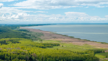Parduodamas sklypas Svencelės g., Svencelės k., 2,5 ha ploto 9