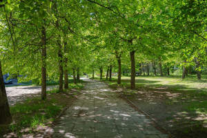 Parduodamas butas Taikos, Justiniškės, Vilniaus m., Vilniaus m. sav., 40 m2 ploto, 2 kambariai 19