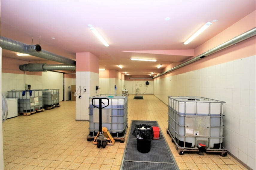 NUOMOJAMOS 222.28 KV.M. PLOTO PATALPOS PANEVĖŽIO MIESTE, ALYVŲ GATVĖJE 19