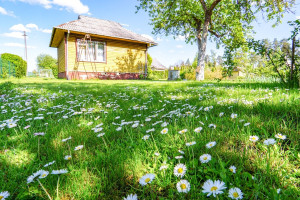 Parduodamas namas Aguonų al., Kaubariškio k., Panevėžio r. sav., 36 m2 ploto, 1 aukštai 18