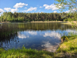 Parduodamas namas Aguonų al., Kaubariškio k., Panevėžio r. sav., 36 m2 ploto, 1 aukštai 28