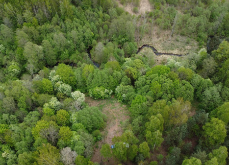 Parduodamas sklypas Kluoniškių k., Kauno r. sav., 301.00 a ploto