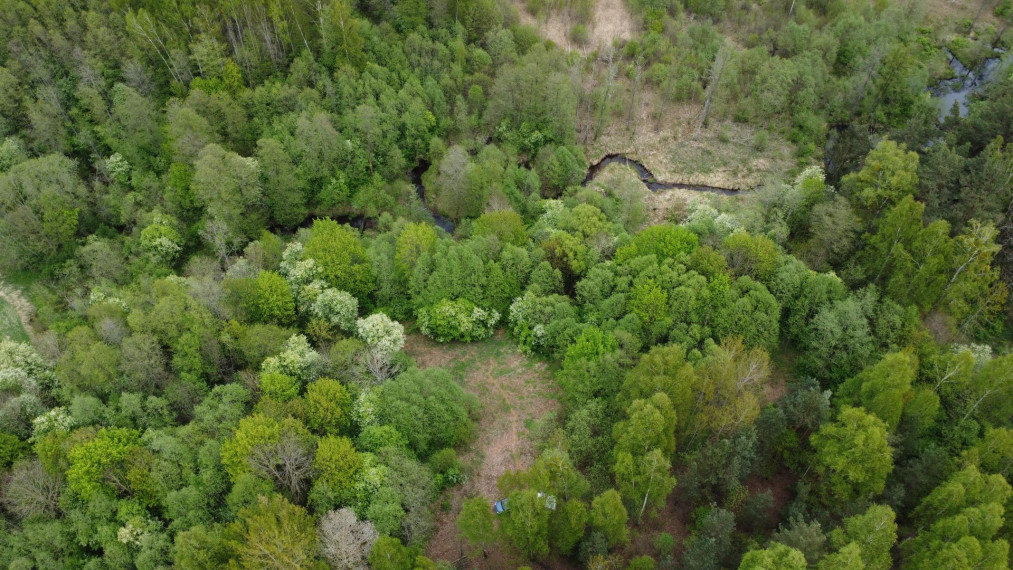 Parduodamas sklypas Kluoniškių k., Kauno r. sav., 301.00 a ploto 1