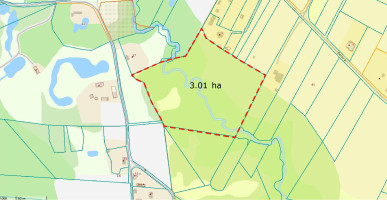 Parduodamas sklypas Kluoniškių k., Kauno r. sav., 301.00 a ploto 12