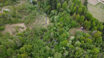 Parduodamas sklypas Kluoniškių k., Kauno r. sav., 301.00 a ploto 3