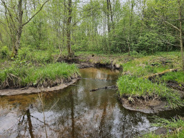 Parduodamas sklypas Kluoniškių k., Kauno r. sav., 301.00 a ploto 4