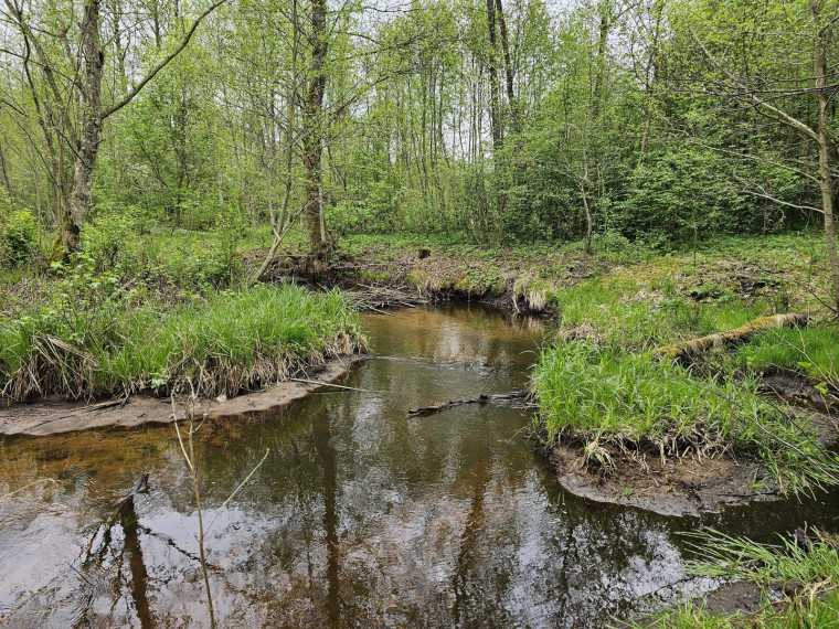 Parduodamas sklypas Kluoniškių k., Kauno r. sav., 301.00 a ploto 4