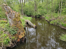 Parduodamas sklypas Kluoniškių k., Kauno r. sav., 301.00 a ploto 5