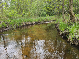 Parduodamas sklypas Kluoniškių k., Kauno r. sav., 301.00 a ploto 6
