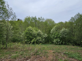 Parduodamas sklypas Kluoniškių k., Kauno r. sav., 301.00 a ploto 8