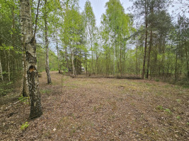 Parduodamas sklypas Kluoniškių k., Kauno r. sav., 301.00 a ploto 9