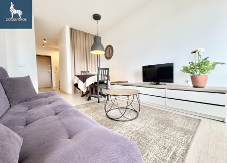 Nuomojamas butas Kernavės g., Šnipiškės, Vilniaus m., Vilniaus m. sav., 38 m2 ploto, 1 kambariai
