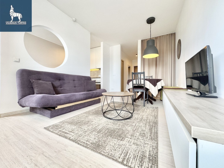 Nuomojamas butas Kernavės g., Šnipiškės, Vilniaus m., Vilniaus m. sav., 38 m2 ploto, 1 kambariai 3