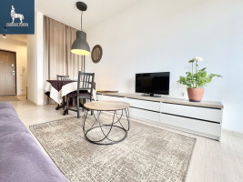Nuomojamas butas Kernavės g., Šnipiškės, Vilniaus m., Vilniaus m. sav., 38 m2 ploto, 1 kambariai 5