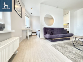 Nuomojamas butas Kernavės g., Šnipiškės, Vilniaus m., Vilniaus m. sav., 38 m2 ploto, 1 kambariai 7