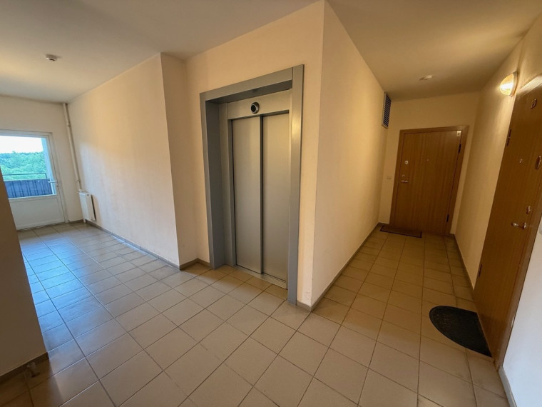 Nuomojamas butas Vėtrungių g., Fabijoniškės, Vilniaus m., Vilniaus m. sav., 54 m2 ploto, 2 kambariai 2