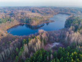 Parduodamas kitos paskirties sklypas Kudrionių Girios k., Trakų r. sav., 888.08 a ploto 11