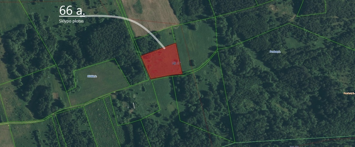 Parduodamas  sklypas Bildžių k., Vilniaus r. sav., 66 a ploto 1