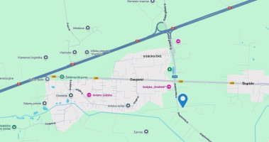 Parduodamas 1,26 ha žemės ūkio paskirties sklypas Dauparai, Šlapšilės k., Klaipėdos r. – Investicija Ateičiai! 10