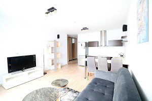 Nuomojamas butas Sviliškių g., Pašilaičiai, Vilniaus m., Vilniaus m. sav., 55 m2 ploto, 2 kambariai 2