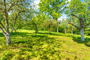 Parduodamas namas Plikakalnio g., Aukštieji Paneriai, Vilniaus m., Vilniaus m. sav., 74.21 m2 ploto, 1 aukštai 10