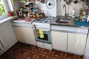Parduodamas butas Klaipėdos, Panevėžio m., Panevėžio m. sav., 44.00 m² ploto 2 kambariai 13