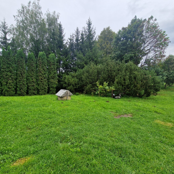 Parduodamas kitos paskirties sklypas Pakalnučių g., Seiliūnų k., Lazdijų r. sav., 2010 a ploto 16