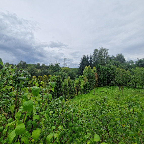 Parduodamas kitos paskirties sklypas Pakalnučių g., Seiliūnų k., Lazdijų r. sav., 2010 a ploto 17