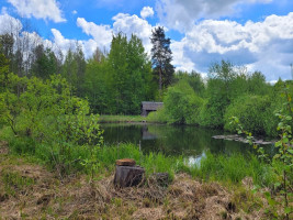 Parduodamas namas Utenos r. sav., Norvaišių k., Azijos, 73.57 m2 ploto, 1 aukštai 19