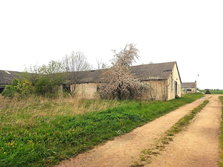 Parduodamos patalpos Akmeniškių k., Pakruojo r. sav., 870.15 m² ploto 4