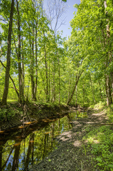 Parduodamas namas Voverių k., Šakių r. sav., 115.22 m² ploto 2 kambariai 24